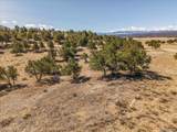 10246 Rawhide Creek Road - Photo 12