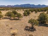 10246 Rawhide Creek Road - Photo 13