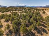 10246 Rawhide Creek Road - Photo 15