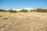 10246 Rawhide Creek Road - Photo 16