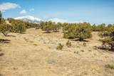 10246 Rawhide Creek Road - Photo 17