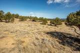 10246 Rawhide Creek Road - Photo 18