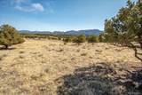 10246 Rawhide Creek Road - Photo 19