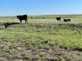  County Road 125 - Photo 1