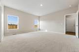 151 Equine Road - Photo 20