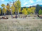 12414 Us Hwy 285 - Photo 47