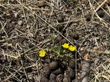 Lot 7712 Hallstein Road - Photo 11