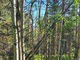 00 Michigan Hill Road - Photo 25