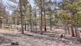 30406 National Forest Drive - Photo 4