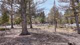30406 National Forest Drive - Photo 5