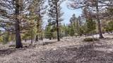 30406 National Forest Drive - Photo 6
