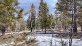 30406 National Forest Drive - Photo 8