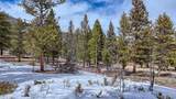 30406 National Forest Drive - Photo 10