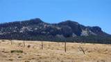 Lot 291 Black Hills - Photo 6