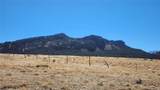 Lot 291 Black Hills - Photo 8