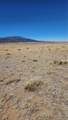 Lot 291 Black Hills - Photo 10