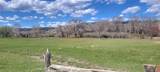 411 Violet Lane - Photo 9
