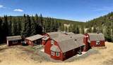 16903 Highway 119 - Photo 3