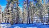 28 Deer Circle - Photo 19