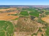23240 County Road 21 - Photo 44