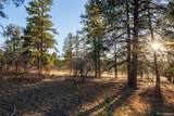 10421 Remmick Ridge Road - Photo 16