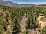  Overlook  Dr - Photo 10
