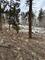 788 Wagon Wheel Road - Photo 14