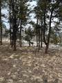 788 Wagon Wheel Road - Photo 20