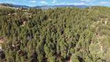 33476 La Plata Lane - Photo 12