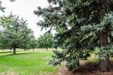 14767 Wagon Trail Drive - Photo 32