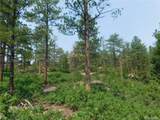 4356 Elati Road - Photo 3