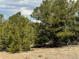 00103 Ute Drive - Photo 15