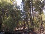 206 Zapata Place - Photo 13