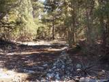206 Zapata Place - Photo 14