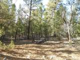 206 Zapata Place - Photo 3