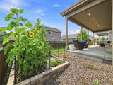 6500 Agave Avenue - Photo 43