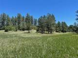 11720 State Highway 86 - Photo 28