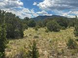 106 Colorado Land & Grazing - Photo 8