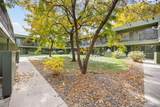 3771 Quail Street - Photo 19