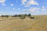 1016 Amanda Pines Drive - Photo 47