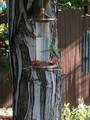 7808 Arundel Lane - Photo 15