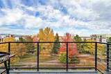 7240 Custer Avenue - Photo 40
