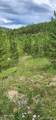 000 Alice Road - Photo 1