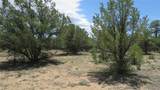 28922 Timber Ridge - Photo 14