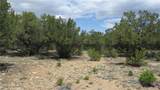 28922 Timber Ridge - Photo 15