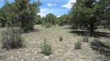 28922 Timber Ridge - Photo 20