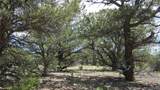 28922 Timber Ridge - Photo 24