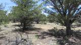 28922 Timber Ridge - Photo 25