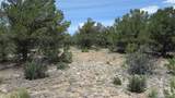 28922 Timber Ridge - Photo 29