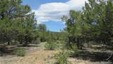 28922 Timber Ridge - Photo 31